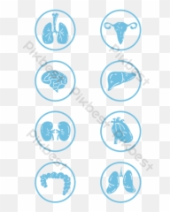 Organization Icon Images Free Psd Templatespng And Vector - Circle