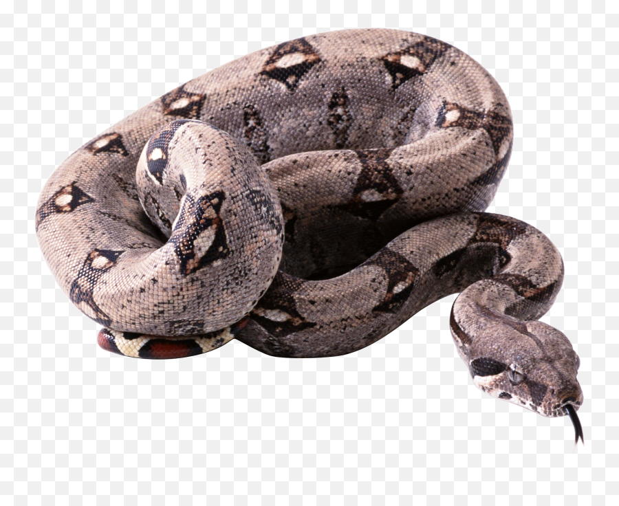 Python Png Images Transparent Background