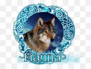 News Archives Wolfspirits - Northern Breed Group png