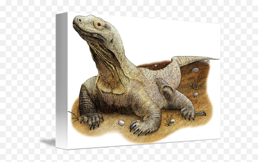 Komodo Dragon - Komodo Dragon Art Png,Komodo Dragon Png