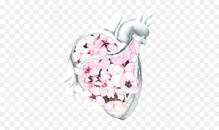 Transparentsticker Blg Soft Grunge Anatomy Art Heart - Flower Heart Aesthetic Png,Anatomical Heart Png
