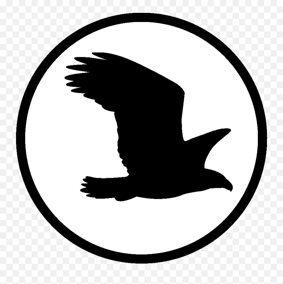 Search Ornithology - Silueta De Un Aguila Volando Png,Frederick Forsyth's Icon