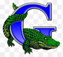 Volleyball Clipart Gator - La Grulla Gators Football Png,Gator Png
