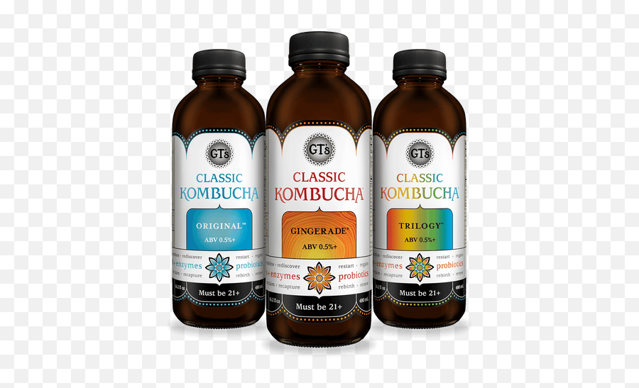 Kombucha Kefir Coconut Yogurt Adaptogenic Tea U2013 Gtu0027s Png Icon