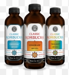 Kombucha Kefir Coconut Yogurt Adaptogenic Tea U2013 Gtu0027s Png Icon
