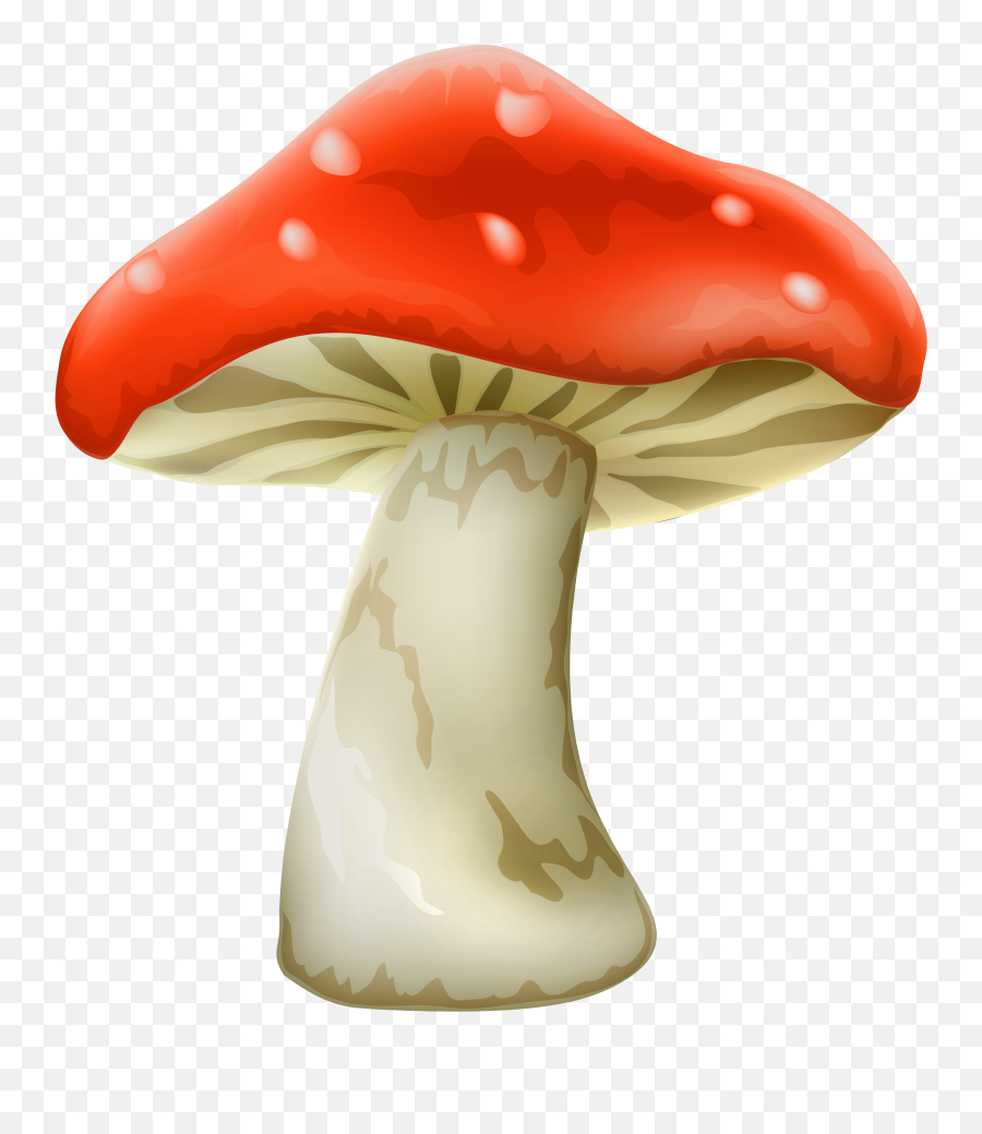 Mushroom Transparent Png Clipart Free - Mushroom Png,Mushroom Png