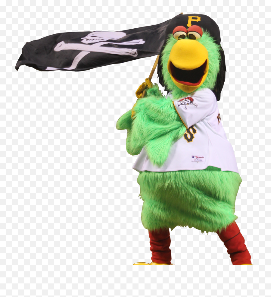 Download Hd Pirate Parrot Appearance - Pittsburgh Pirates Mascot Transparent Backround Png,Pirate Parrot Png
