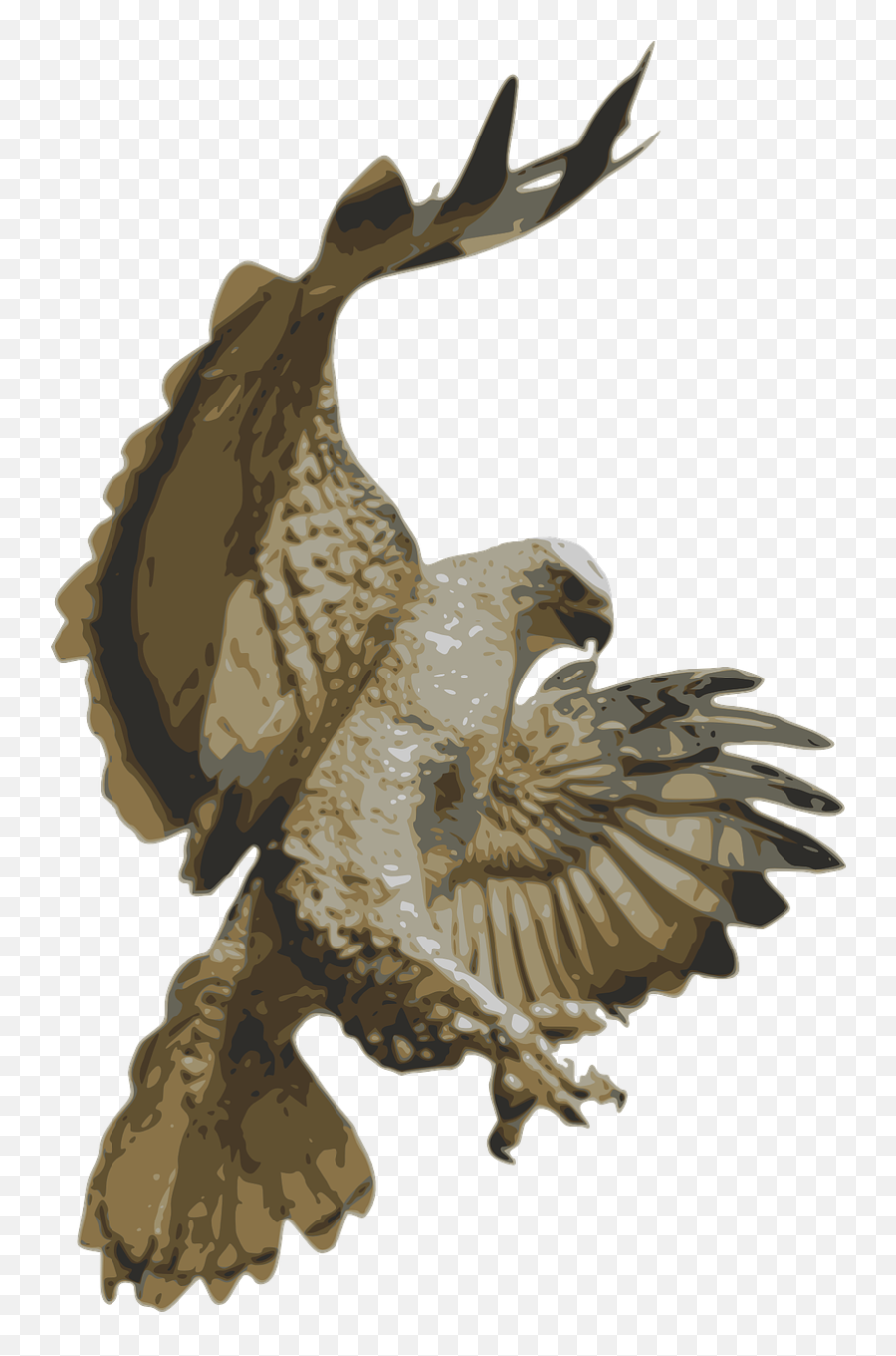 Eagle Bird Flying - Flying Hawk Png,Falcon Png