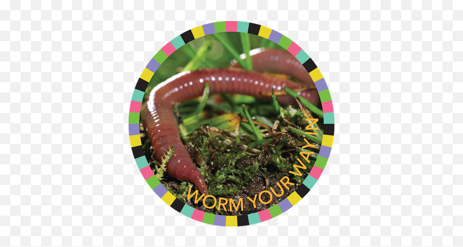 Worm Your Way In Ann Arbor District Library - Burrowing Worm Png,Earthworm Png