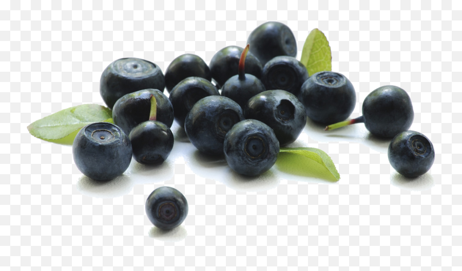 Blueberry Transparent Background - Acai Berries In Tagalog Png,Blueberry Transparent Background