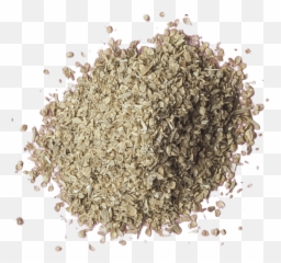 Oregano - Seed Png,Oregano Png