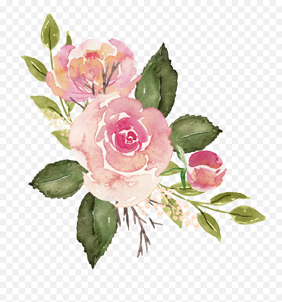 Watercolor Roses Png Free Matting Full Size Download - Transparent Pink Watercolor Flowers,Roses Png