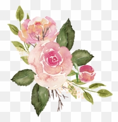 Watercolor Roses Png Free Matting Full Size Download - Transparent Pink Watercolor Flowers,Roses Png