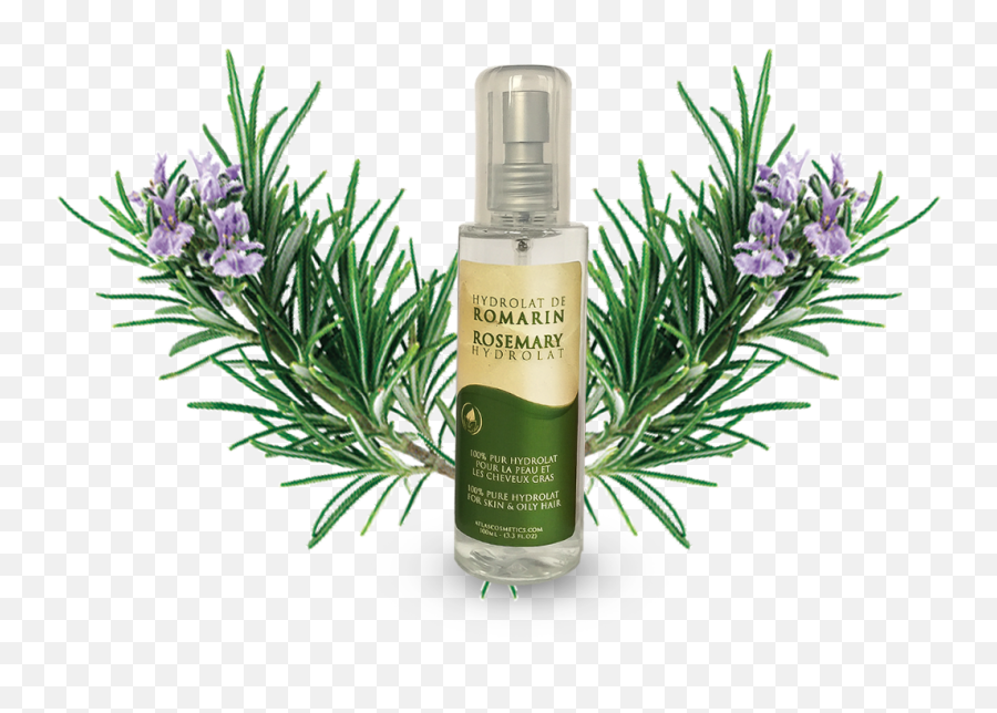 Azoor Rosemary Floral Water Hydrolat - Herbal Distillate Png,Rosemary Png