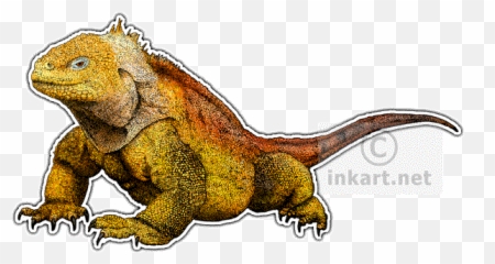 Chameleons Dragons And - Galapagos Land Iguana Transparent Background png