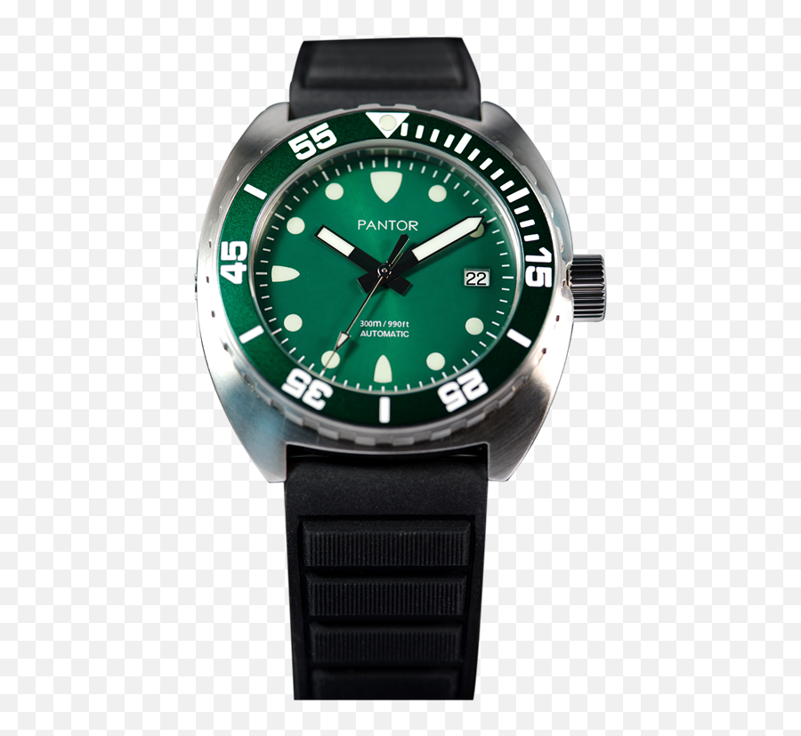 Pantor Sea Lion Green Pantorwatch - Watch Strap Png,Sea Lion Icon