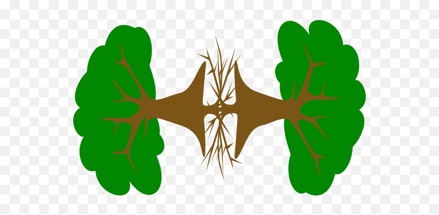 As Above So Below Clip Art - Emblem Png,Tree From Above Png