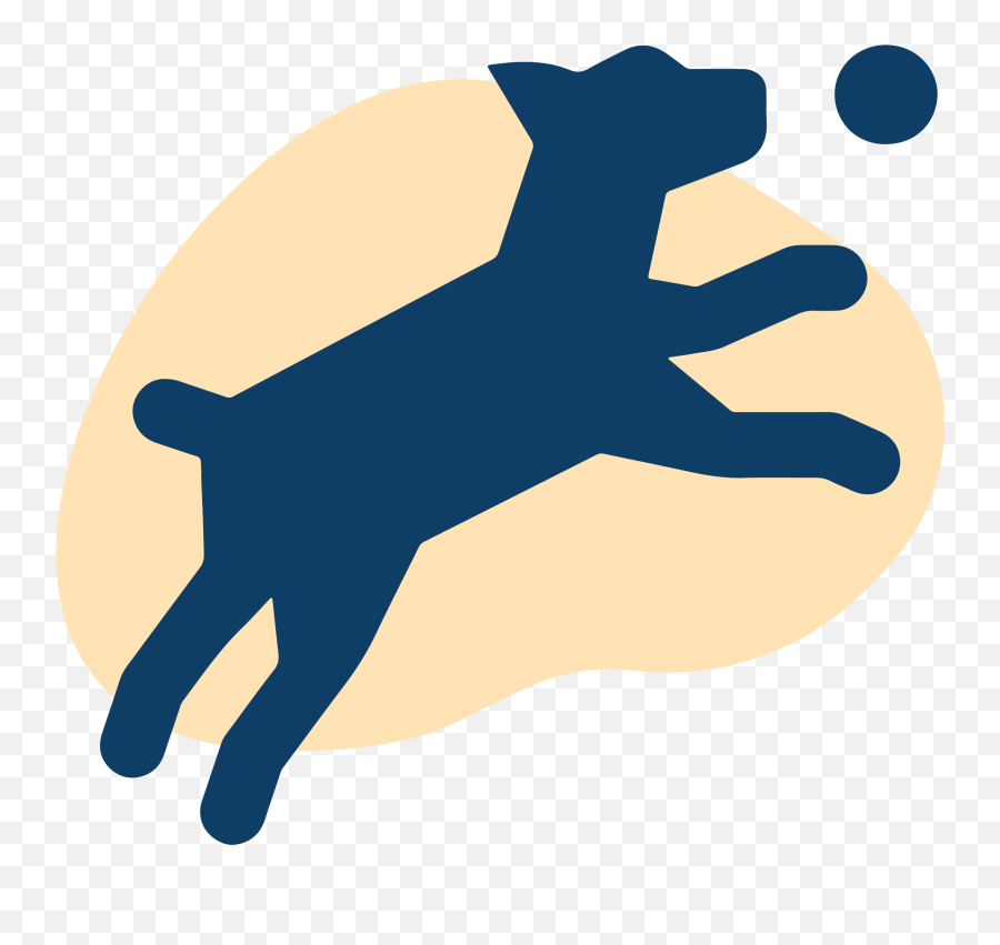 Home - Dog Park Icon Png,Three Dog Night Icon