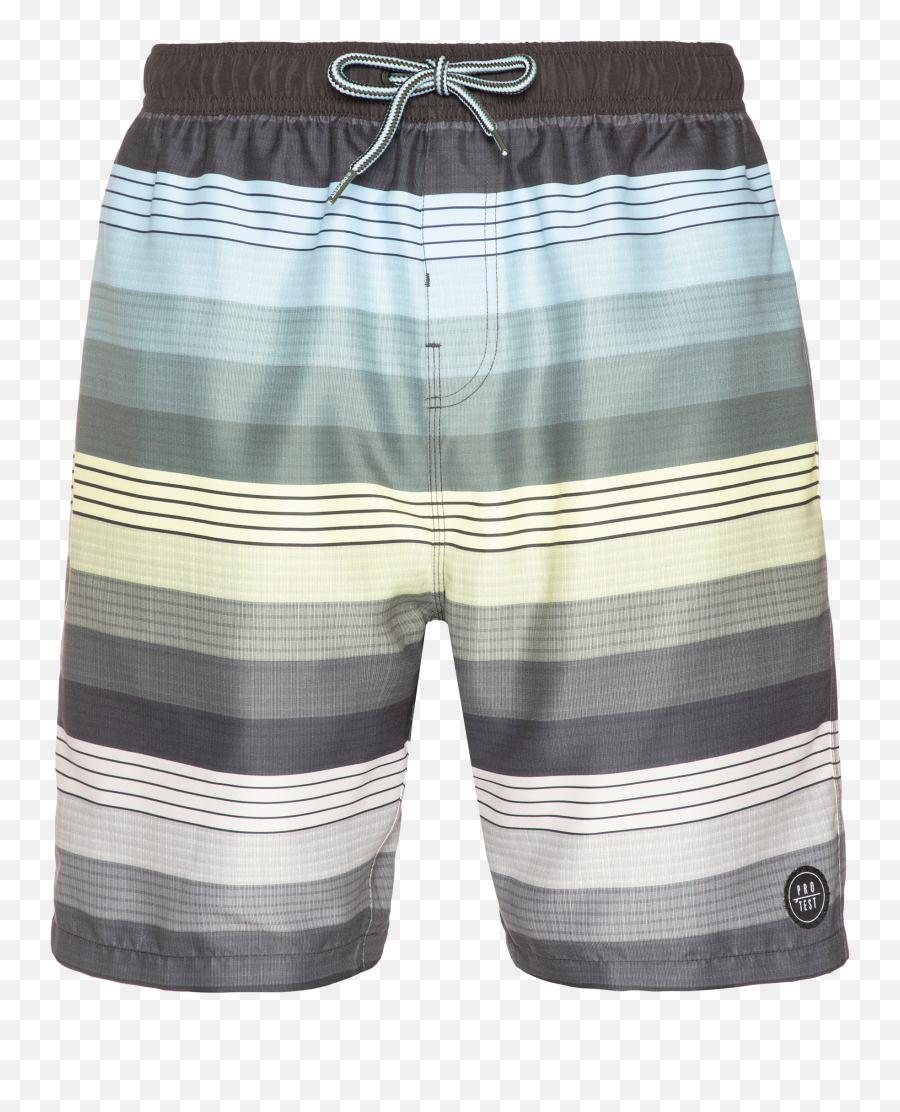 Icon Long Swim Shorts - Boardshorts Png,Icon Bathing Suits
