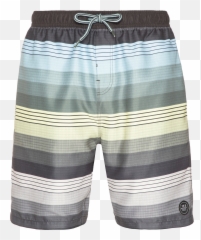 Icon Long Swim Shorts - Boardshorts png
