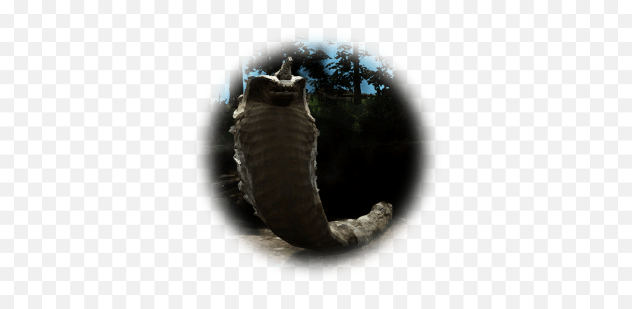 Cursed Stone Cobra - Bdo Codex Pipefishes And Allies Png,Cursed Icon