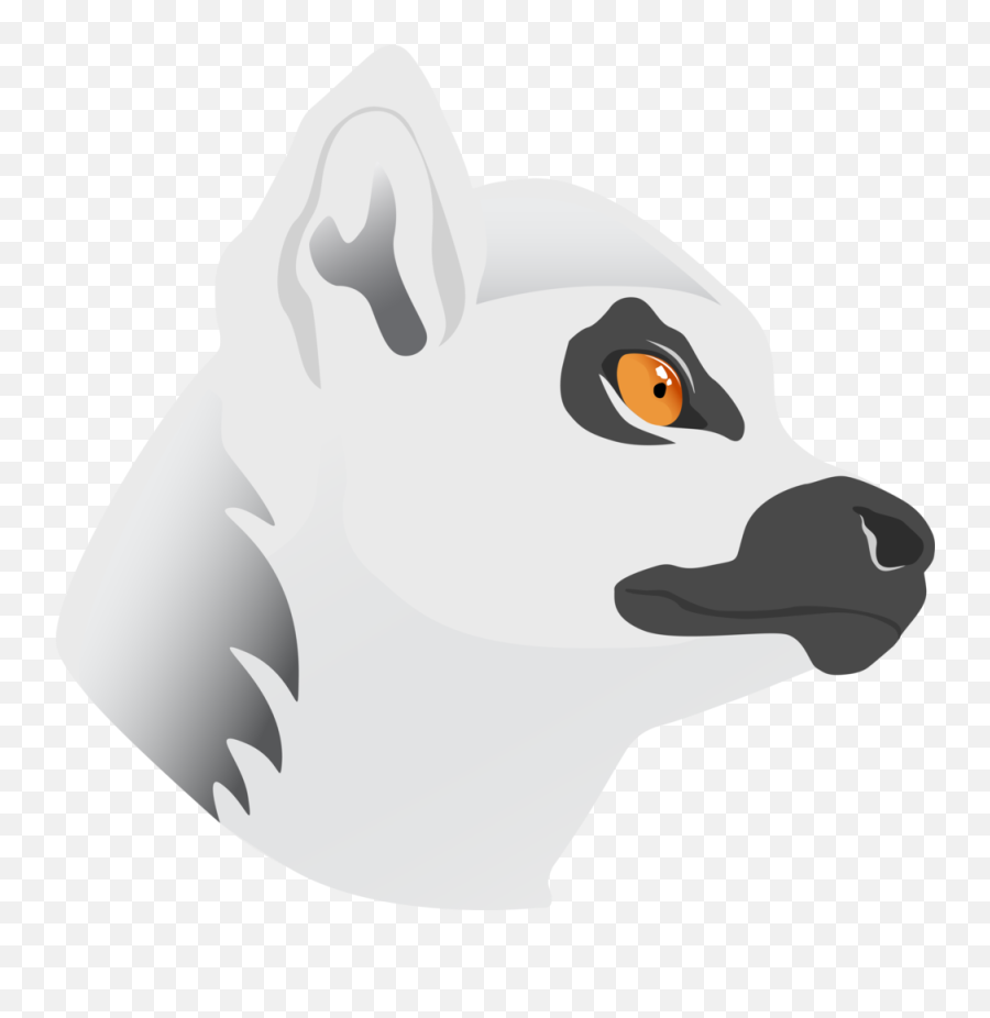 Contact Clarks Creature Arts - Cartoon Png,Lemur Png