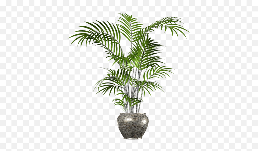 Download Free Png Palm Tree Transparent Images - Tree In A Pot Png,Palm Png