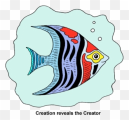 The Best Free Butterflyfish Clipart Images Download From 16 - Coral Reef Fish Png,Fish Clipart Transparent Background