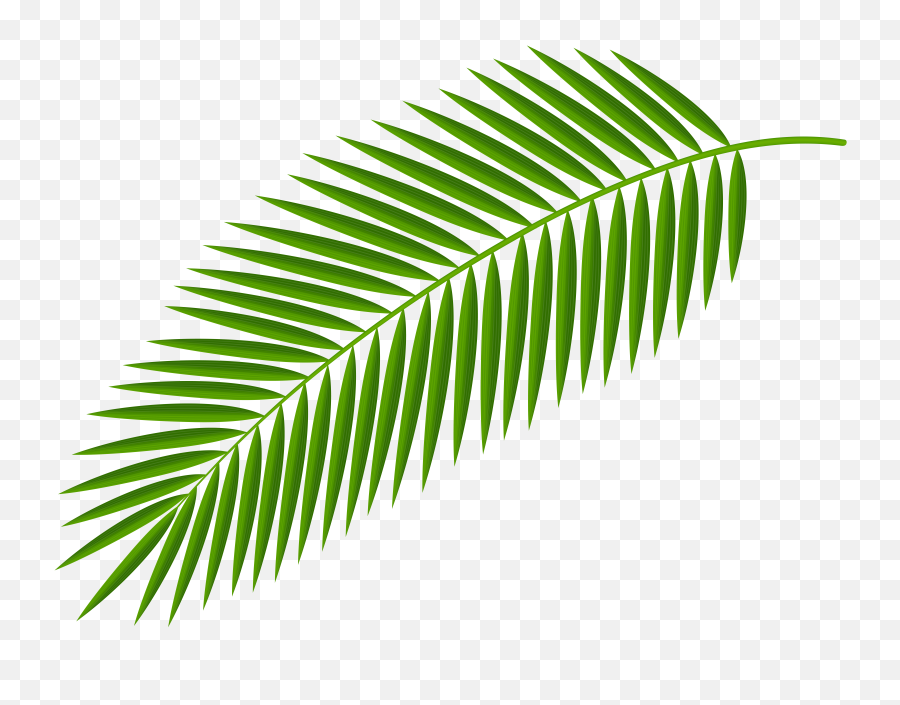 Clipcookdiarynet - Leaves Clipart Aesthetic 2 838 X 954 Palm Leaf Transparent Background Png,Leaves Clipart Png