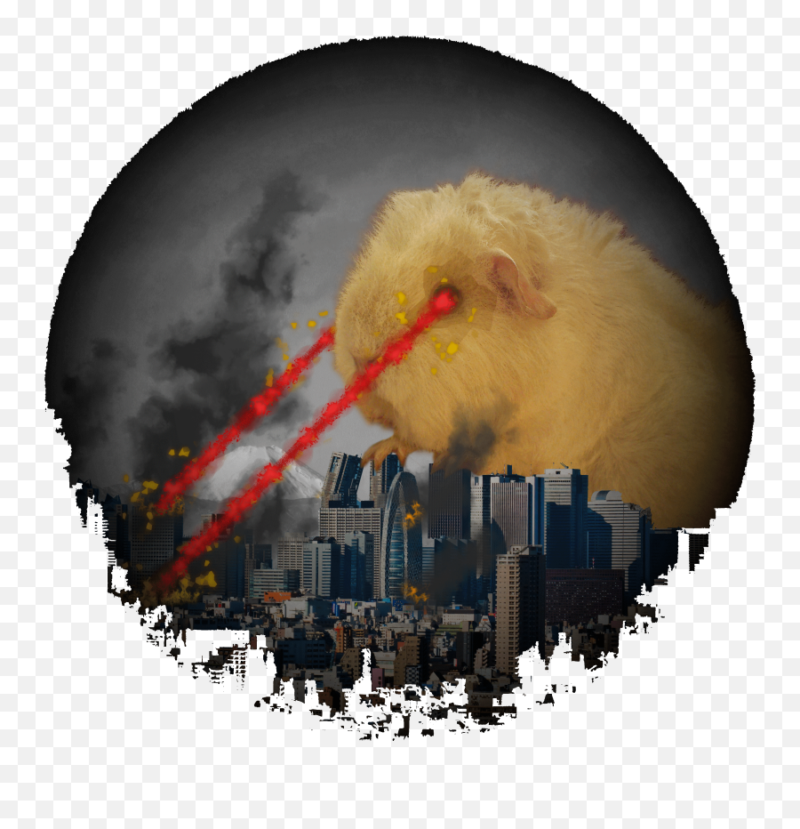 Download Guinea Pig Attacking Tokyo With Laser Eyes - Laser Eyes Guinea Pig Png,Laser Eyes Png