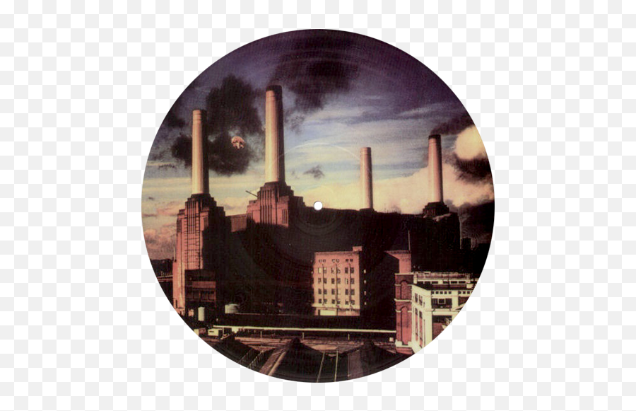 Pink Floyd - Animals Pink Floyd Png,Pink Floyd Png