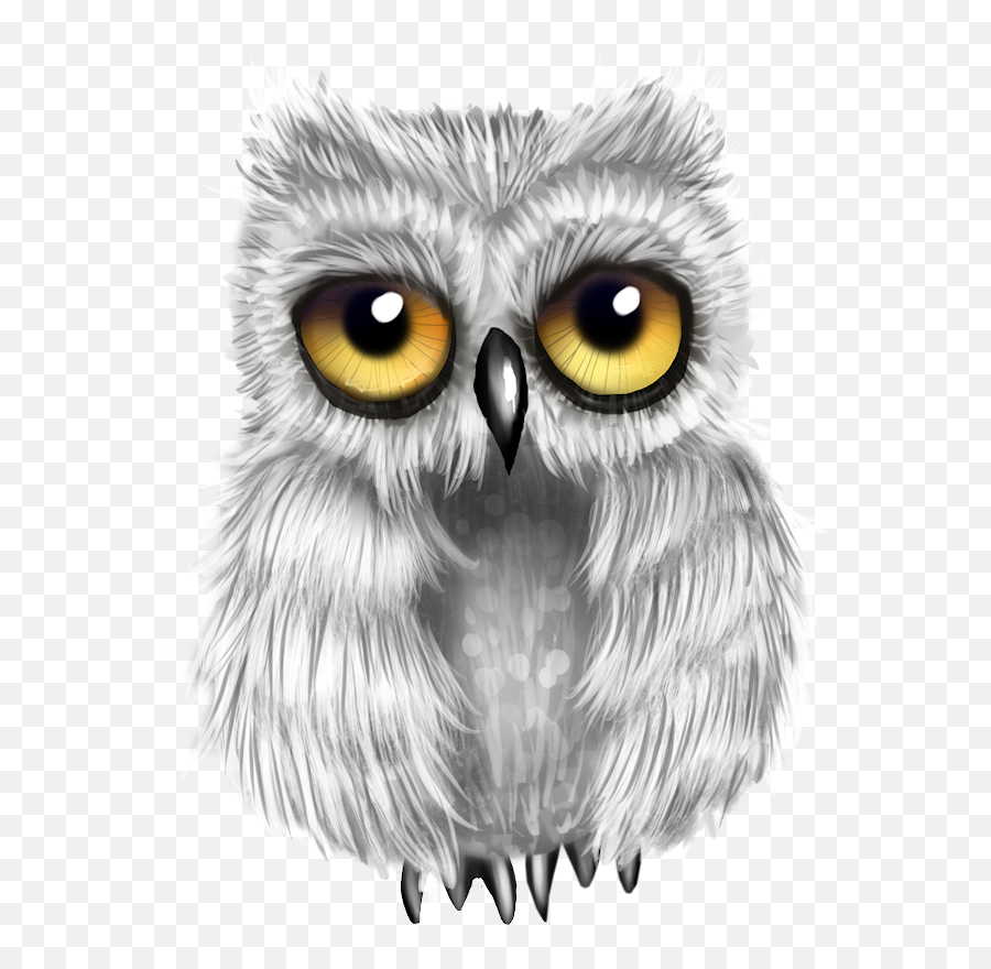 Blog Zezete2 - Png Owls,Owls Png