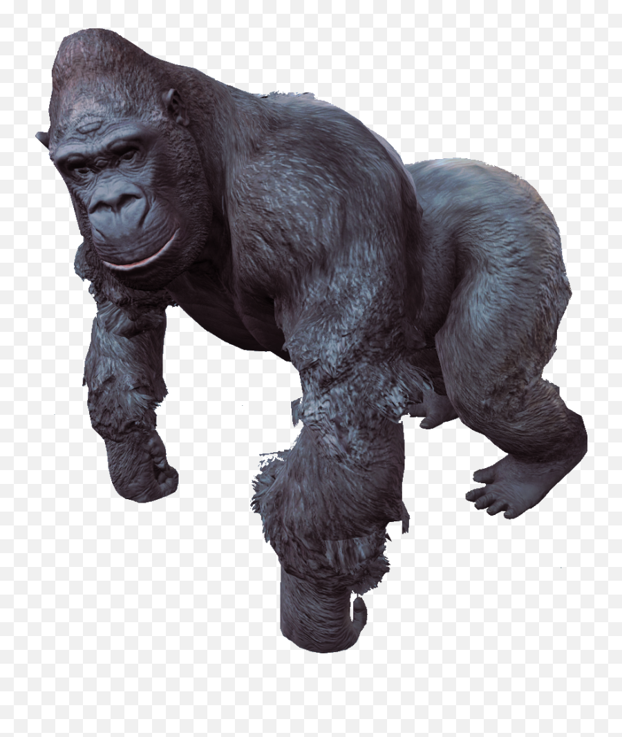 Gorilla - Gorilla Png,Gorilla Png