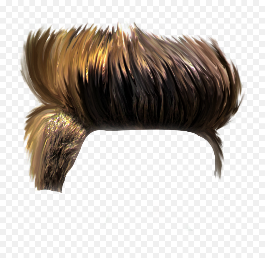 Trump Hair Png - Boy Picsart Png Hair,Trump Hair Png
