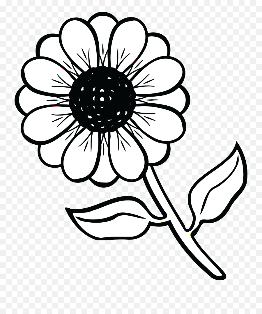 Free Clipart Of A Daisy Flower - Black And White Flower Flower Clipart Black And White Png,White Flower Transparent