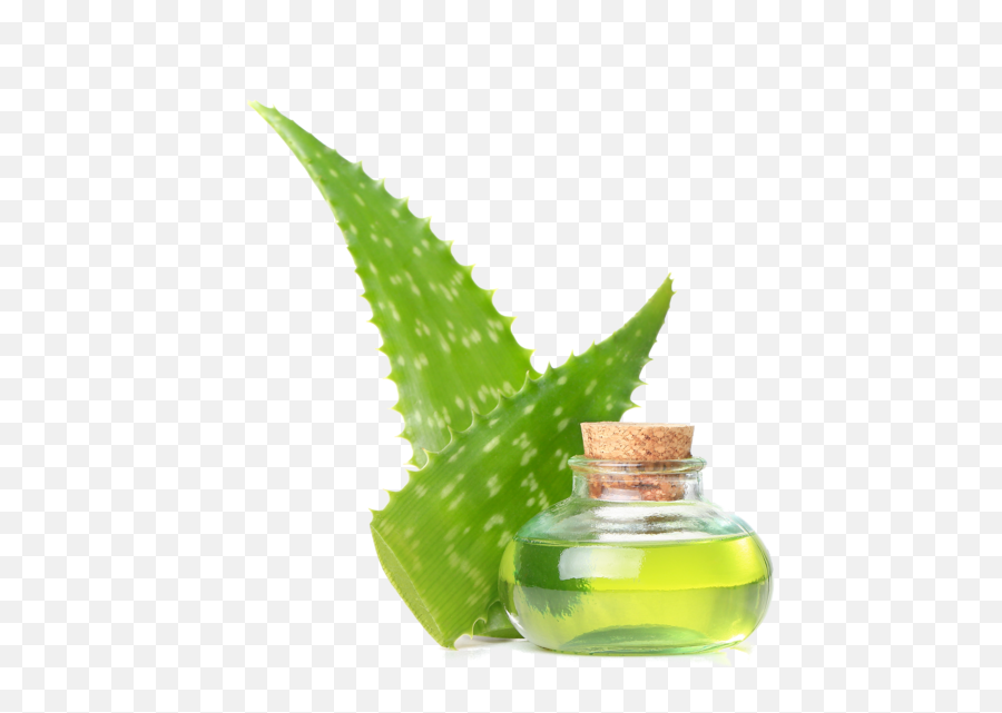 Transparent Background Aloe Vera Png - Gillette Pure Soothing Shave Cream With Aloe,Aloe Vera Png