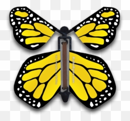 Yellow Monarch Flying Butterfly - Butterflies png