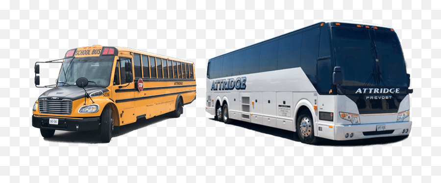 School Bus Rentals - Attridge Saf T Liner C2 Png,School Bus Png