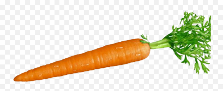 Carrot And Stick Root Vegetables Food - Carrot Png Download Carrot Sticks Image Transparent Background,Carrot Transparent