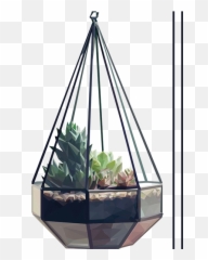 Hanging Plant Sticker - Terrario De Vidro Pendente png