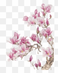Tumblr Flower Png - Transparent Flower Gif Philippians 2 Mind Of Christ