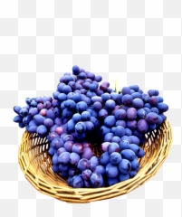 Seedless Grapes In Basket Png Image - Purepng Free,Basket Png