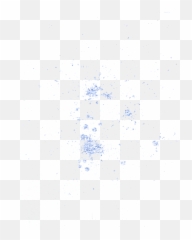 Water - Bird png