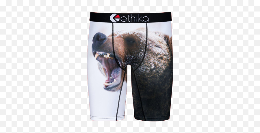 Ethika Bear Creek Boxer Brief Underwear For Men Png Stance Mens Icon Classic Crew Socks Size 9 - 12