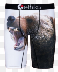 Ethika Bear Creek Boxer Brief Underwear For Men Png Stance Mens Icon Classic Crew Socks Size 9 - 12