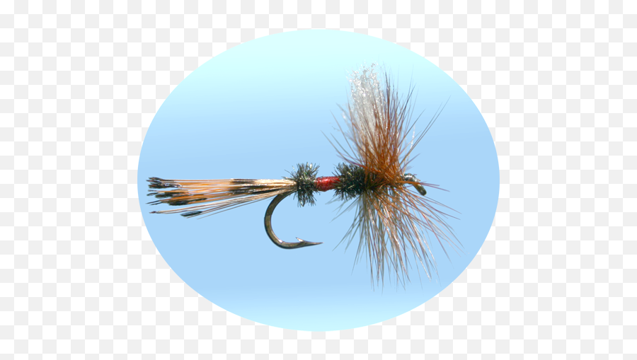 Fly Fishing Simulator 1 - Fly Fishing Simulator Hacks Png,Fly Fishing Icon