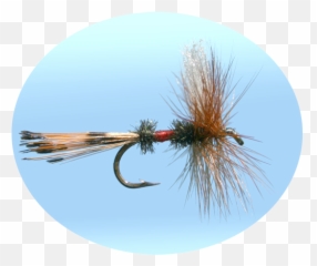 Fly Fishing Simulator 1 - Hacks png