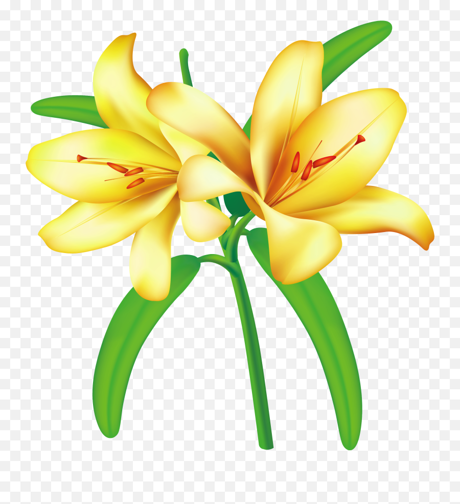 Fun Pics Images Png Easter Lily