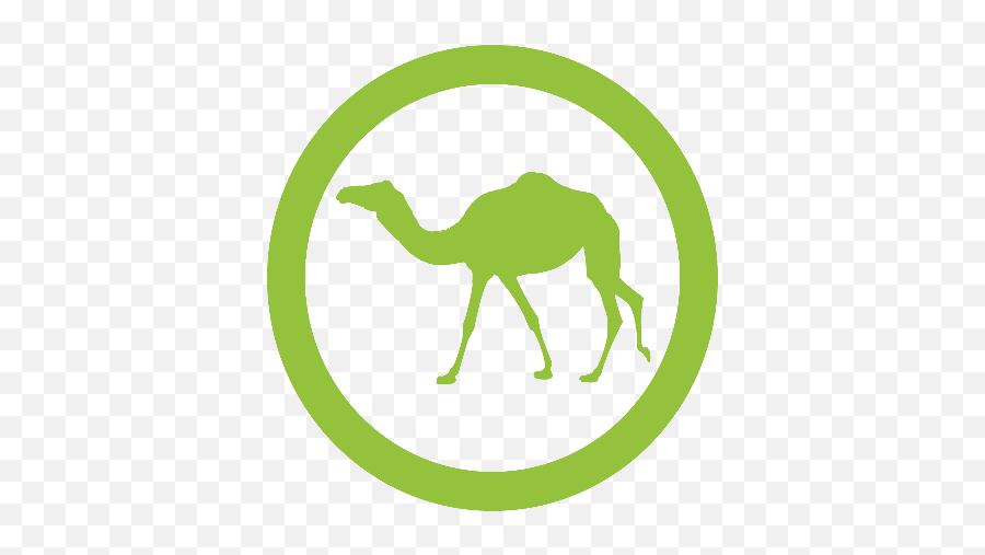 Kit 4mid - Camel 4biodxbreeding Gif Marca De Verificacion Png,Camel Logo