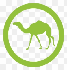Kit 4mid - Camel 4biodxbreeding Gif Marca De Verificacion Png,Camel Logo